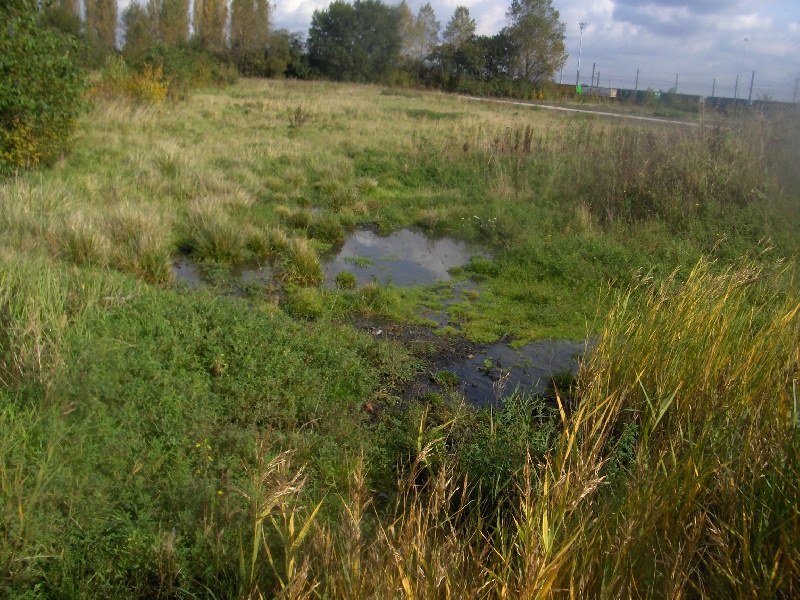 saveur d'automne